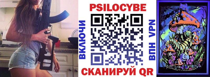 сколько стоит  Добрянка  Псилоцибиновые грибы Psilocybe 