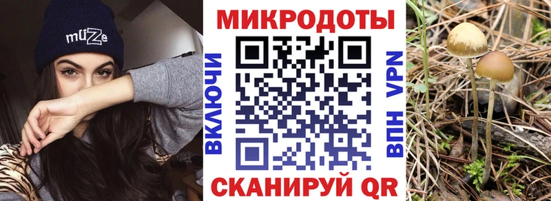Псилоцибиновые грибы мухоморы Добрянка