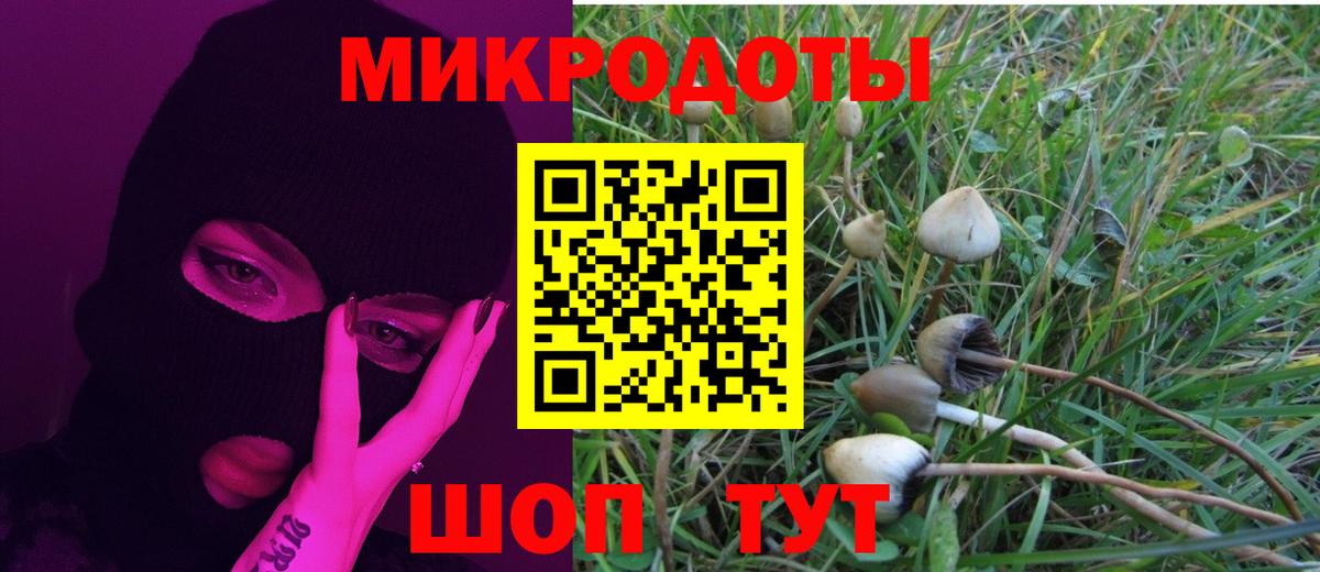 Добрянка  Галлюциногенные грибы Cubensis  Вход с VPN 